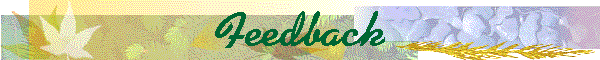 Feedback