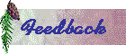 Feedback